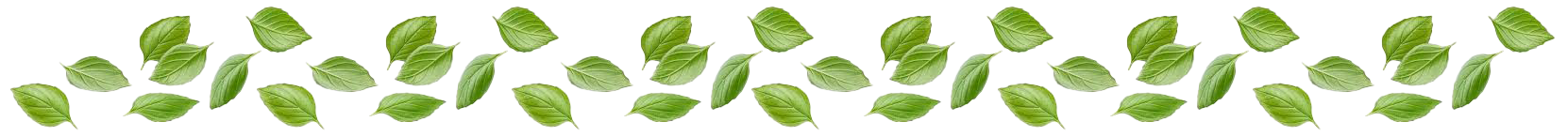 Basil Leaves